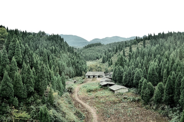 Landschapsmening op het platteland van Zhangjiajie