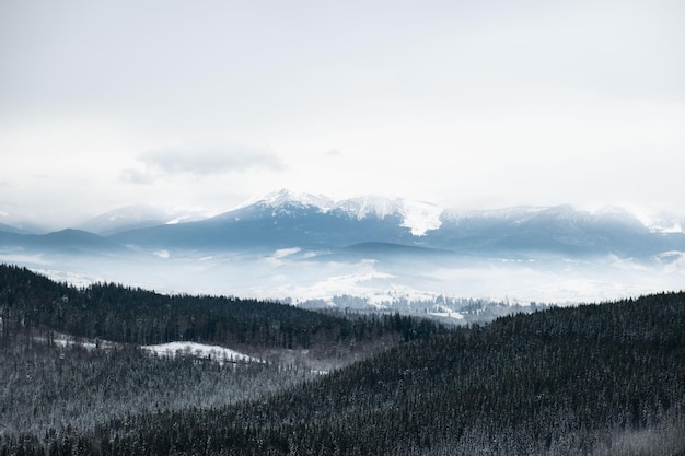 Landschapsmening van de winter Karpaten