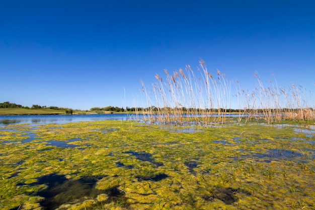 Landschapsmening van een golfbaan in de Algarve.