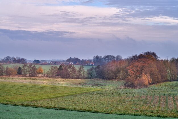 Landschapsmening van een weelderige groene boerderij op het platteland gedurende de dag Afgelegen en verlaten landbouwgrond in een landelijke natuurlijke omgeving Leeg en afgelegen veld of weide in een vredige en kalme omgeving