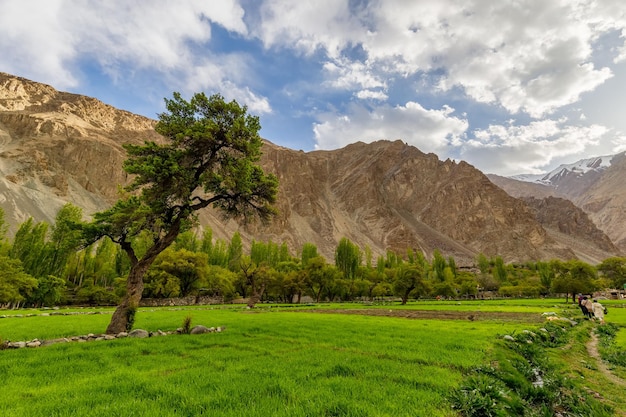 Landschapsmening van het dorp Turtuk, een prachtig klein dorp LehLadakhnoord-India