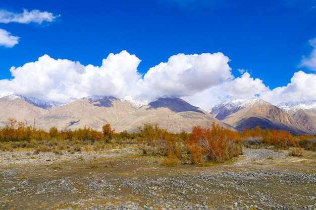 Landschapsmening van Ladakh IndiaHimalayas Ladakh Indiax9