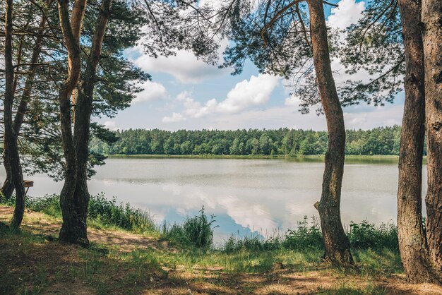 Landschapsmening van meer in zonnige de hemelbezinning van de zomerdag in water