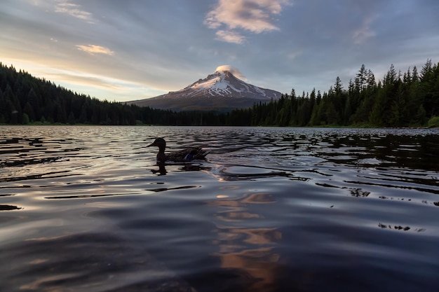 Landschapsmening van Mt Hood Amerikaanse natuurachtergrond