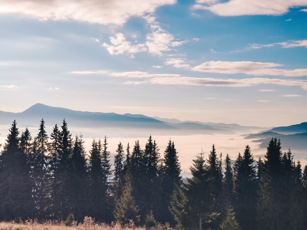 Landschapsmening van winterbergen kopiëren ruimte