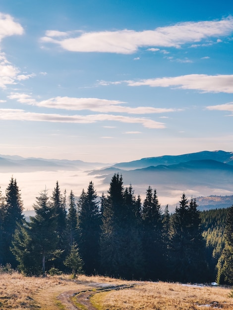 Landschapsmening van winterbergen kopiëren ruimte