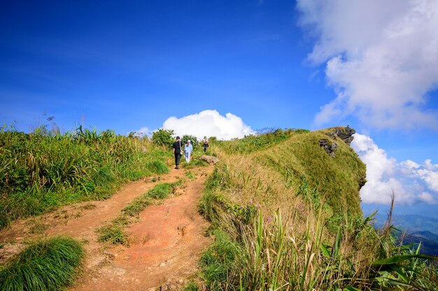 Landschapsochtend in Phu Chi Fa Forest Park Thailand