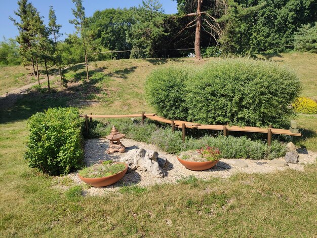 Foto landschapsontwerp in het park met trappen in de zomer