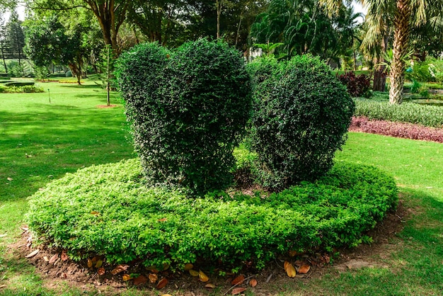 Landschapsontwerp park in thailand