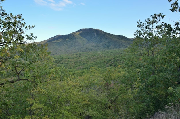 Landschapspanorama met bos en bergen. Azerbeidzjan, Kaukasus