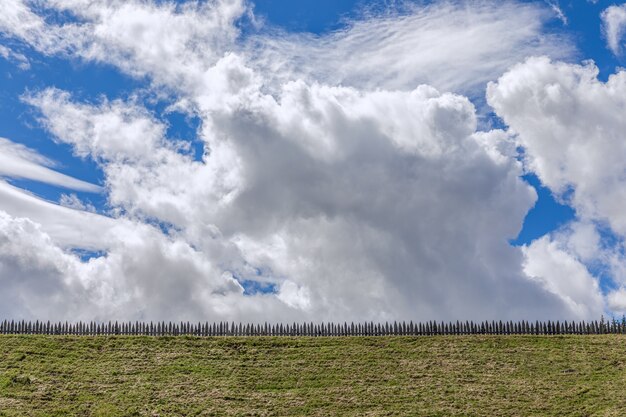 Foto landschapspanorama van veld en een mooie blauwe lucht met cumuluswolken.