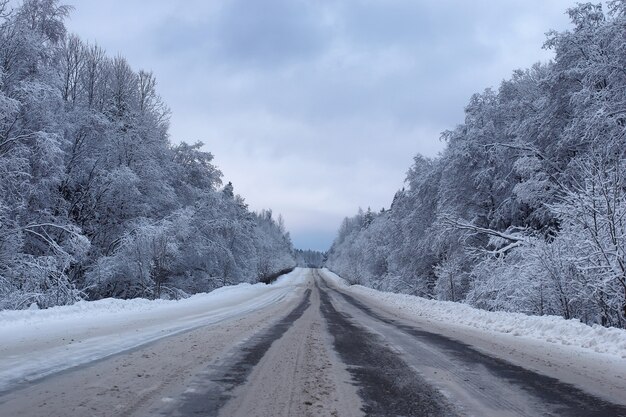 Landschapsweg in het winterbos met besneeuwde wildernis