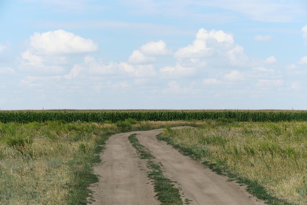 Landweg achtergrond korenvelden en lucht