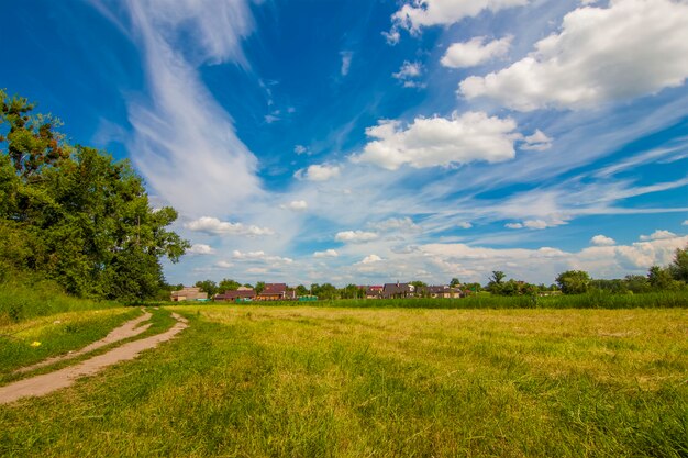 Landweg dichtbij groene bomen in een zonnige de zomerdag