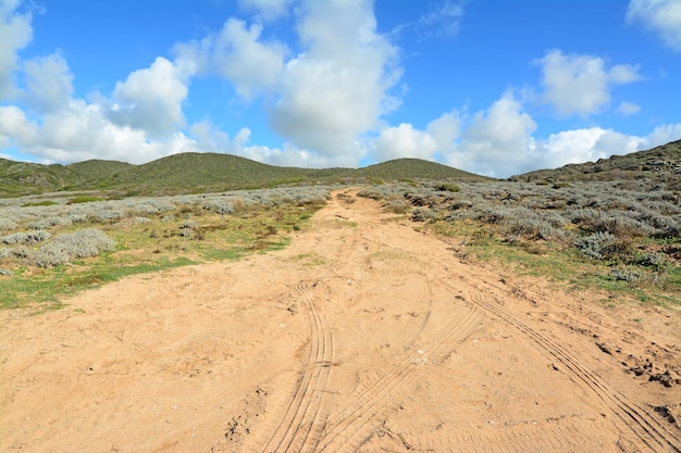 Landweg en groene heuvel in Argentiera Sardinië