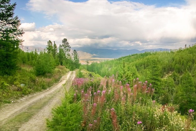 Landweg in een prachtige bergvallei