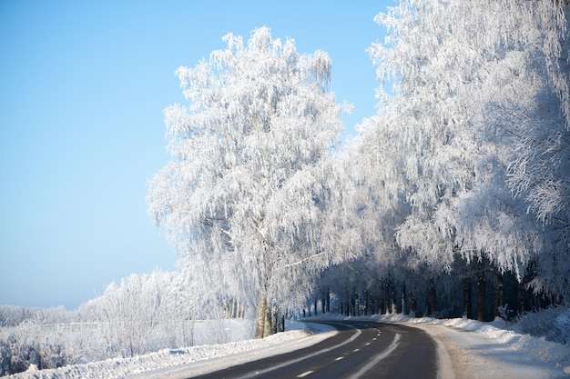 Landweg in een winterlandschap met bevroren bomen en pastelblauwe skyxA