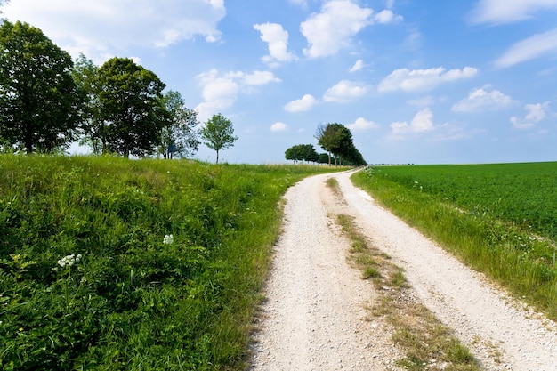 Landweg langs het luzernveld