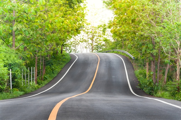 Landweg met bomen aan beide zijden, bocht van de weg