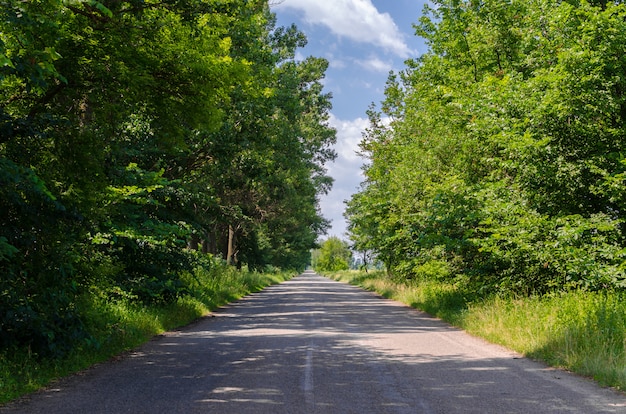 Landweg met bomen