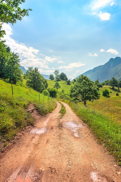 Landweg naar hoge bergen in Montenegro