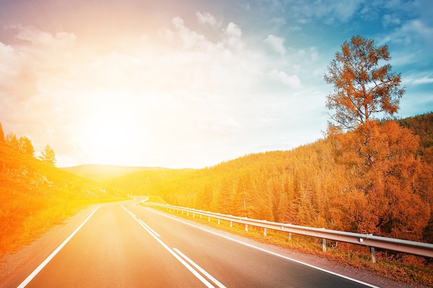 Landweg onder de zomerzon