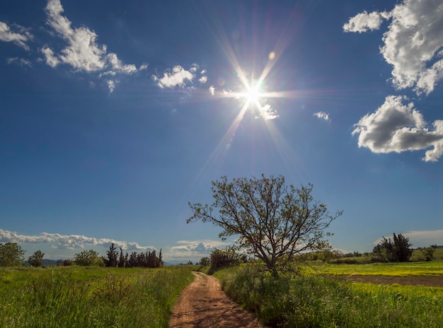 Landweg op de achtergrond op het Griekse eiland Evia in Griekenland