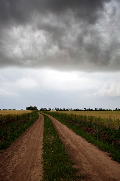 Landweg tussen velden in een zomerse onweersbui