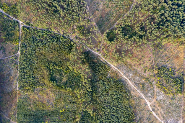 landweg uitzicht van bovenaf drone schieten