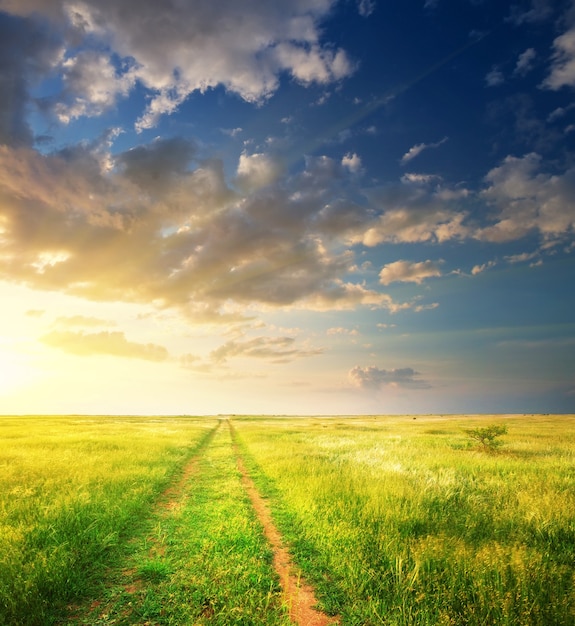 Lane in meadow and deep blue sky.