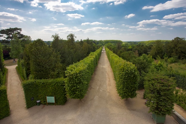 Lanes in in the parc of Versailles palace