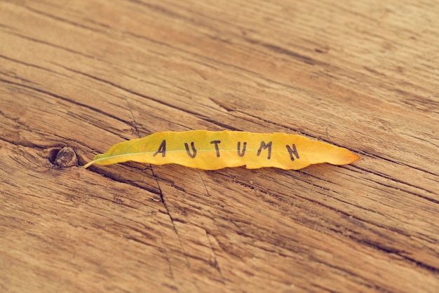 Foto lang geel blad met de inscriptie herfst op de oude houten achtergrond met scheuren toned