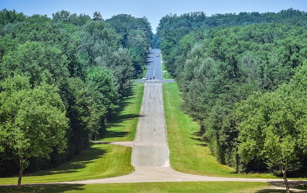 Lange asfalt rechte weg door het bos