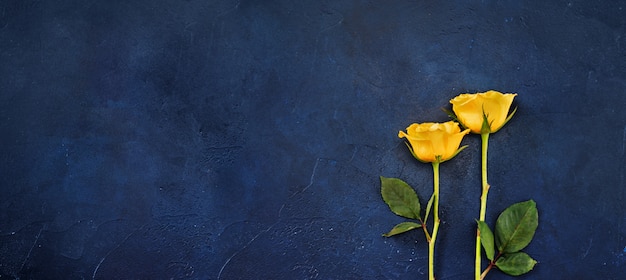 Lange banner met twee gele rozen op klassieke blauwe achtergrond