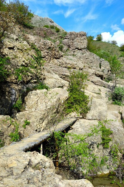 Lange blootstellingsweergave van een verborgen rivier in de Krim, Oekraïne Een steen tegen een wazig waterpatroon is ideaal voor gebruik op de achtergrond