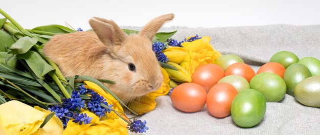 Lange horizontale banner met paashaaseieren en bloemen om te feliciteren met de paasvakantie in de lente