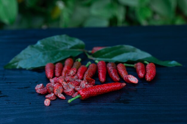 Lange peper, Indische lange peper, Javaanse lange peper per is kruiden met medicinale eigenschappen