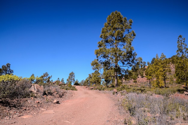 Lange rechte onverharde woestijnweg verdwijnt in de horizon op Gran Canaria, Spanje