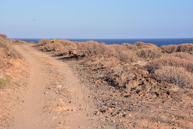 Lange rechte onverharde woestijnweg verdwijnt in de horizon.