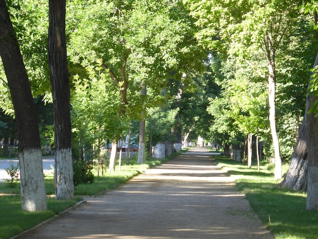 Lange steeg om te wandelen in het park