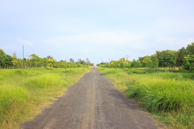 Lange weg in groen veld