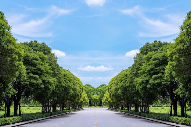 Lange weg met groen gras en bomen en blauwe lucht als achtergrond