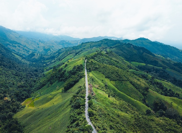 lange weg op een groene berg in Azië