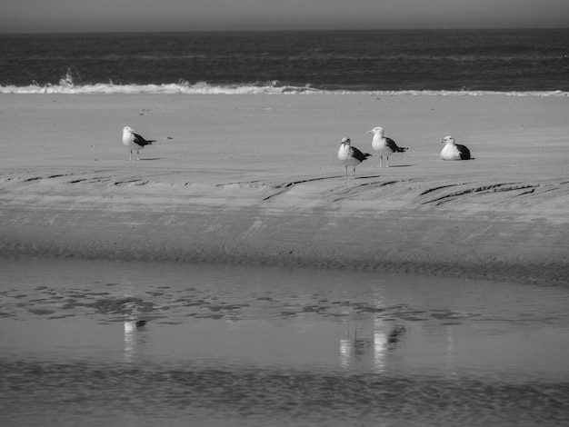 Langeoog beach