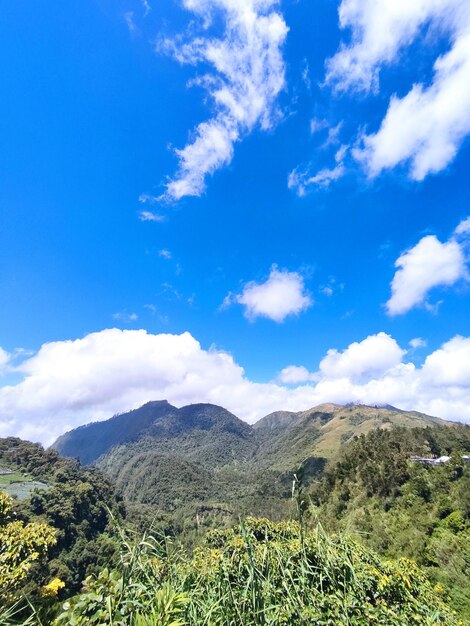 Langit biru cerah