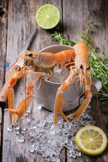 Langoustines on ice