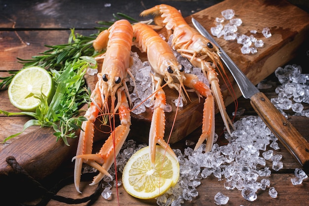 Langoustines op ijs