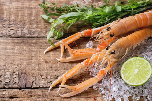 Langoustines op ijs