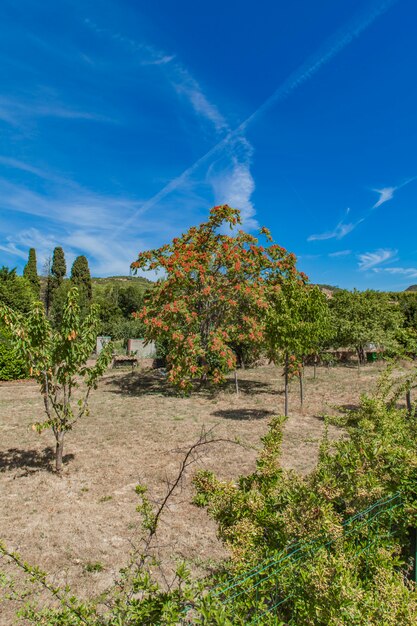 Languedoc-Roussillon province in France