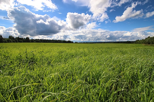 lanscape meadow sky cloud